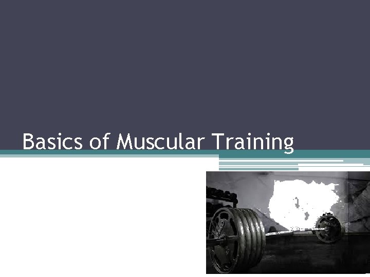 Basics of Muscular Training 