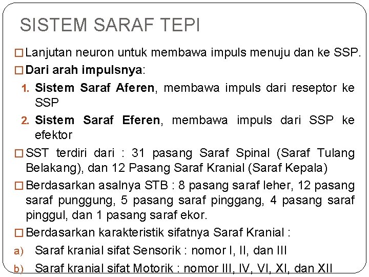 SISTEM SARAF TEPI � Lanjutan neuron untuk membawa impuls menuju dan ke SSP. �