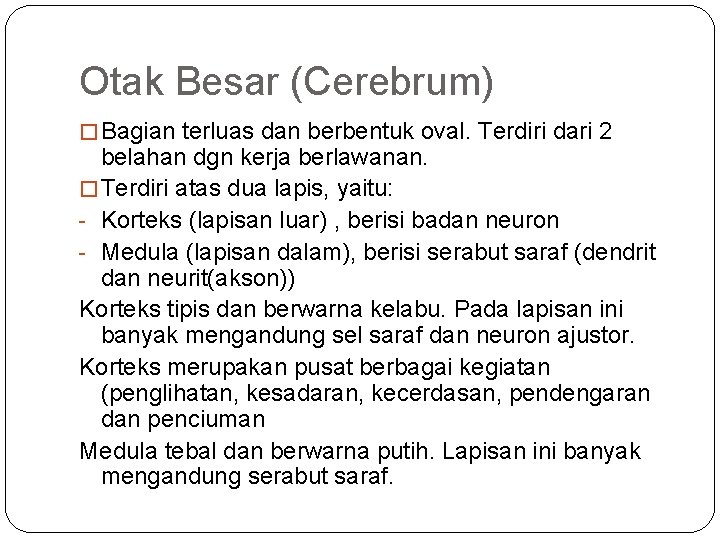 Otak Besar (Cerebrum) � Bagian terluas dan berbentuk oval. Terdiri dari 2 belahan dgn