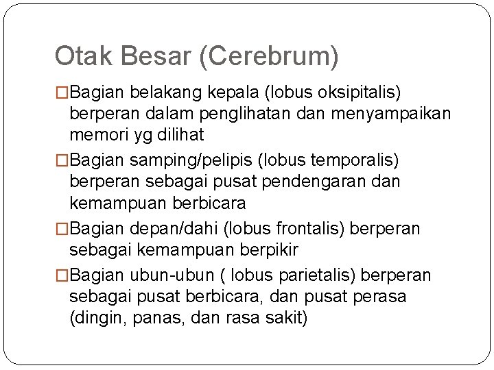 Otak Besar (Cerebrum) �Bagian belakang kepala (lobus oksipitalis) berperan dalam penglihatan dan menyampaikan memori
