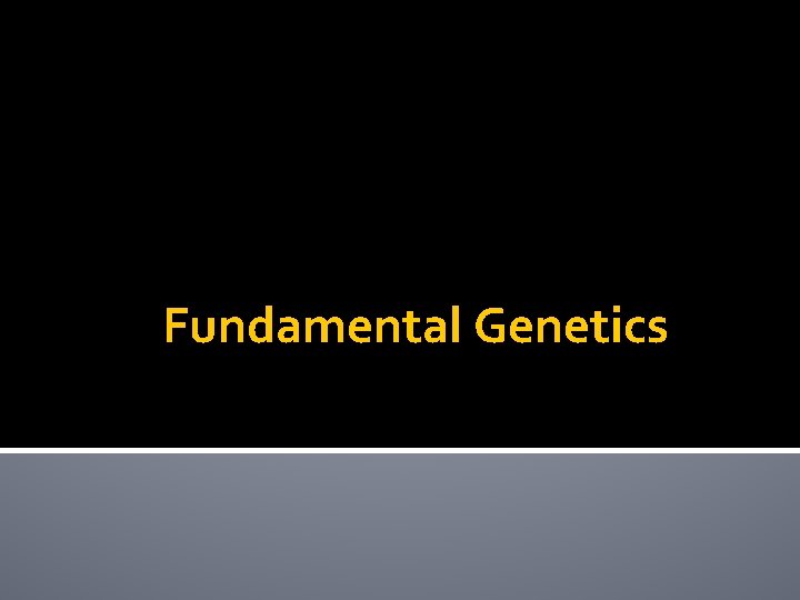 Fundamental Genetics 