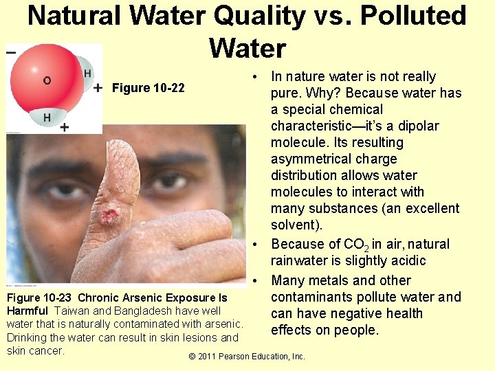 Natural Water Quality vs. Polluted Water Figure 10 -22 • In nature water is