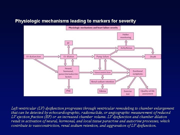 Physiologic mechanisms leading to markers for severity Left ventricular (LV) dysfunction progresses through ventricular