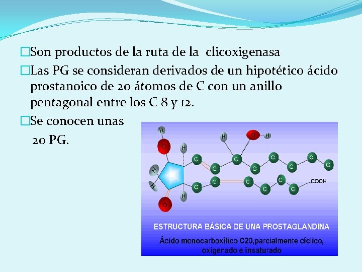 �Son productos de la ruta de la clicoxigenasa �Las PG se consideran derivados de