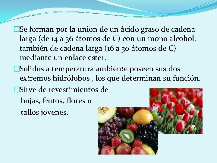 �Se forman por la union de un ácido graso de cadena larga (de 14