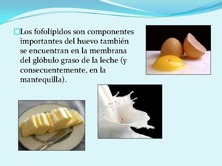 �Los fofolípidos son componentes importantes del huevo también se encuentran en la membrana del