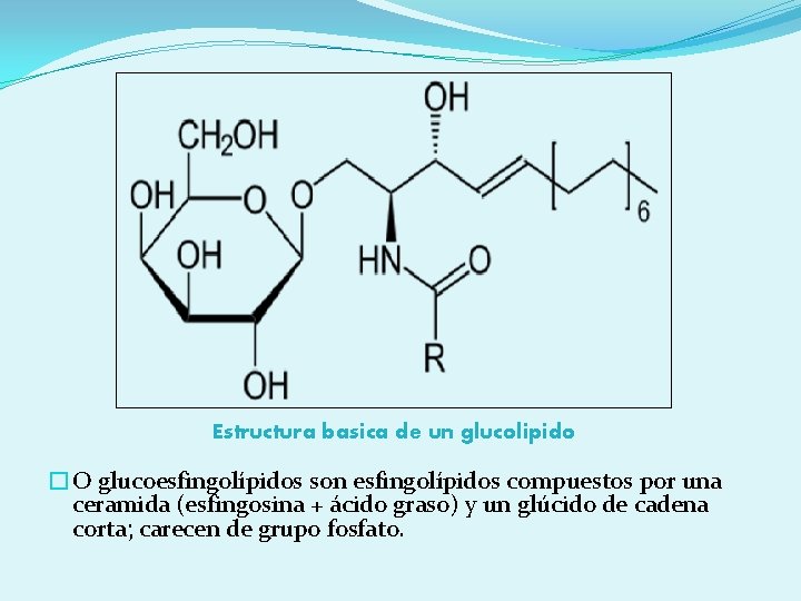 Estructura basica de un glucolipido �O glucoesfingolípidos son esfingolípidos compuestos por una ceramida (esfingosina