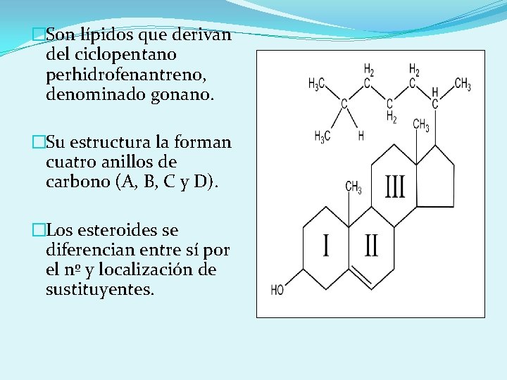 �Son lípidos que derivan del ciclopentano perhidrofenantreno, denominado gonano. �Su estructura la forman cuatro