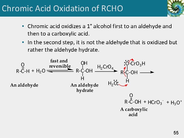 Chromic Acid Oxidation of RCHO • Chromic acid oxidizes a 1° alcohol first to