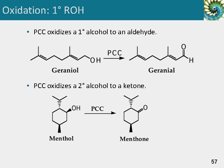 Oxidation: 1° ROH • PCC oxidizes a 1° alcohol to an aldehyde. • PCC