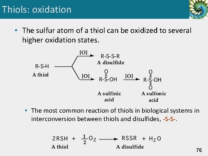 Thiols: oxidation • The sulfur atom of a thiol can be oxidized to several