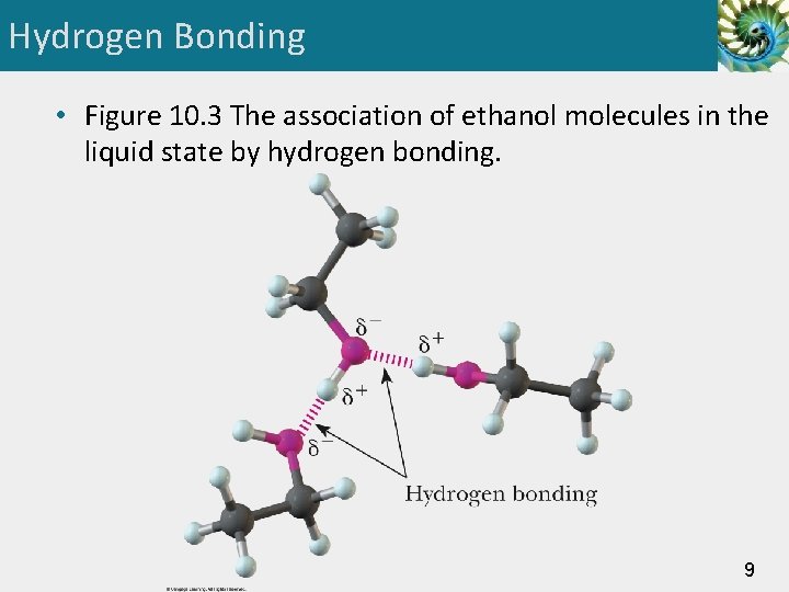 Hydrogen Bonding • Figure 10. 3 The association of ethanol molecules in the liquid
