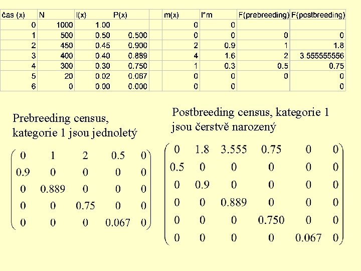 Prebreeding census, kategorie 1 jsou jednoletý Postbreeding census, kategorie 1 jsou čerstvě narozený 