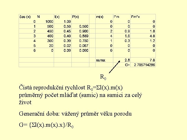 R 0 Čistá reprodukční rychlost R 0=Σl(x). m(x) průměrný počet mláďat (samic) na samici