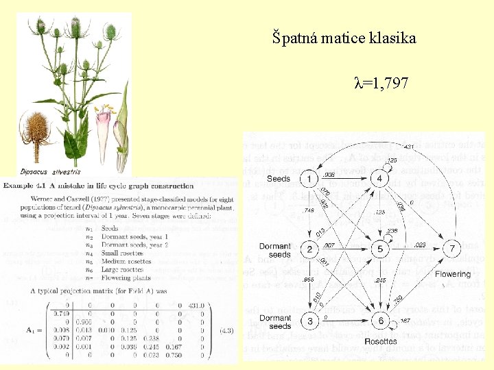 Špatná matice klasika λ=1, 797 