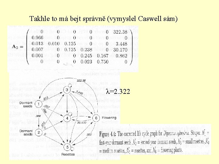 Takhle to má bejt správně (vymyslel Caswell sám) λ=2. 322 