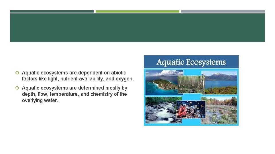  Aquatic ecosystems are dependent on abiotic factors like light, nutrient availability, and oxygen.