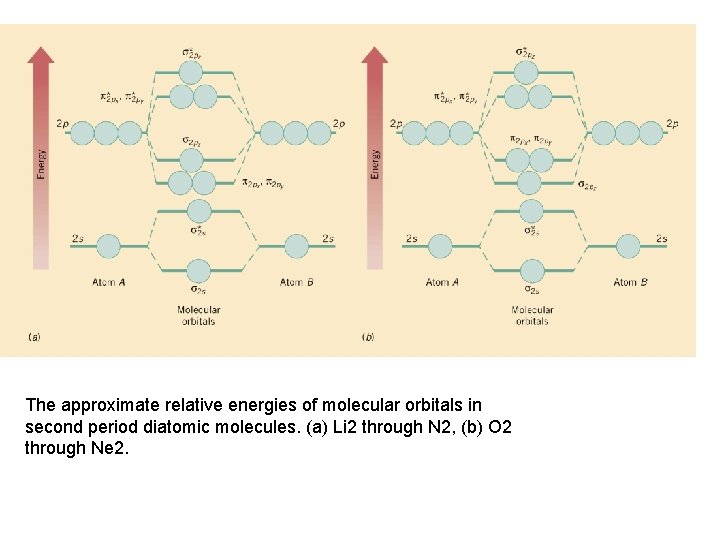 The approximate relative energies of molecular orbitals in second period diatomic molecules. (a) Li