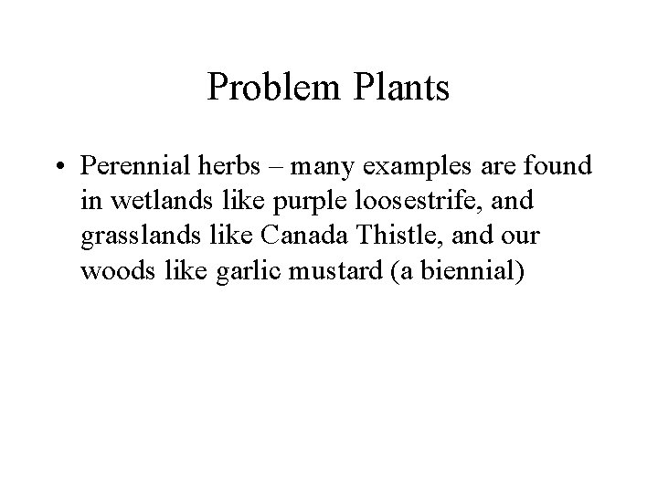 Problem Plants • Perennial herbs – many examples are found in wetlands like purple