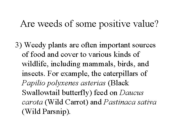 Are weeds of some positive value? 3) Weedy plants are often important sources of