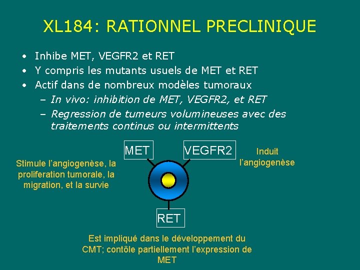 XL 184: RATIONNEL PRECLINIQUE • Inhibe MET, VEGFR 2 et RET • Y compris