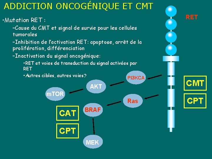 ADDICTION ONCOGÉNIQUE ET CMT RET • Mutation RET : –Cause du CMT et signal