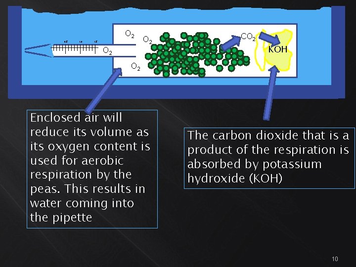 O 2 0. 5 1. 0 1. 5 O 2 CO 2 KOH O