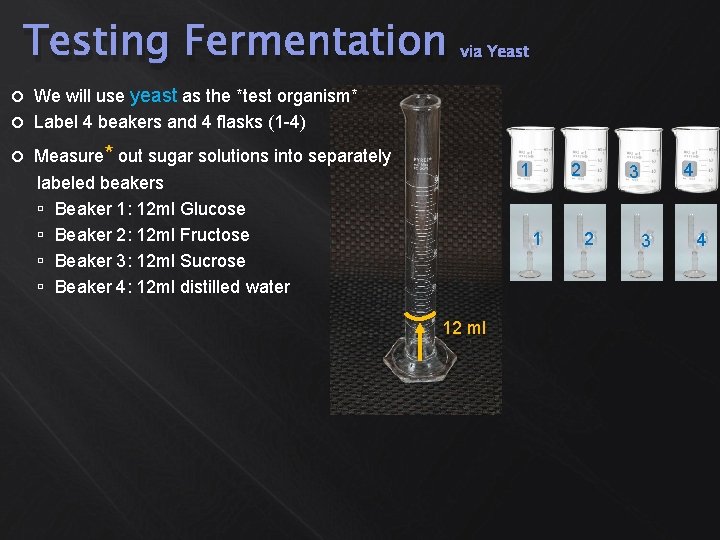 Testing Fermentation via Yeast We will use yeast as the *test organism* Label 4