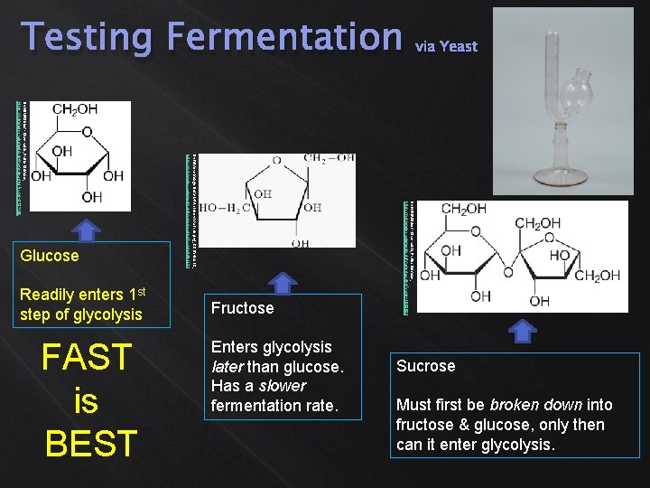 By NEUROtiker - Own work, Public Domain, https: //commons. wikimedia. org/w/index. php? curid=2951918 Sucrose