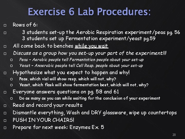 Exercise 6 Lab Procedures: Rows of 6: 3 students set-up the Aerobic Respiration experiment/peas