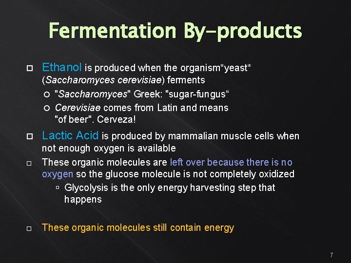 Fermentation By-products Ethanol is produced when the organism*yeast* (Saccharomyces cerevisiae) ferments "Saccharomyces" Greek: "sugar-fungus“