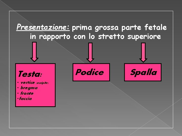 Presentazione: prima grossa parte fetale in rapporto con lo stretto superiore Testa: • vertice Presentazione: prima grossa parte fetale in rapporto con lo stretto superiore Testa: • vertice
