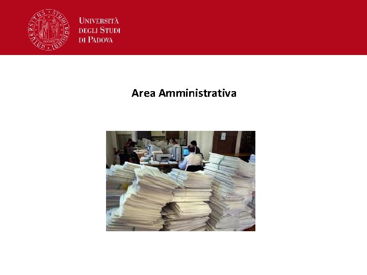 Area Amministrativa 