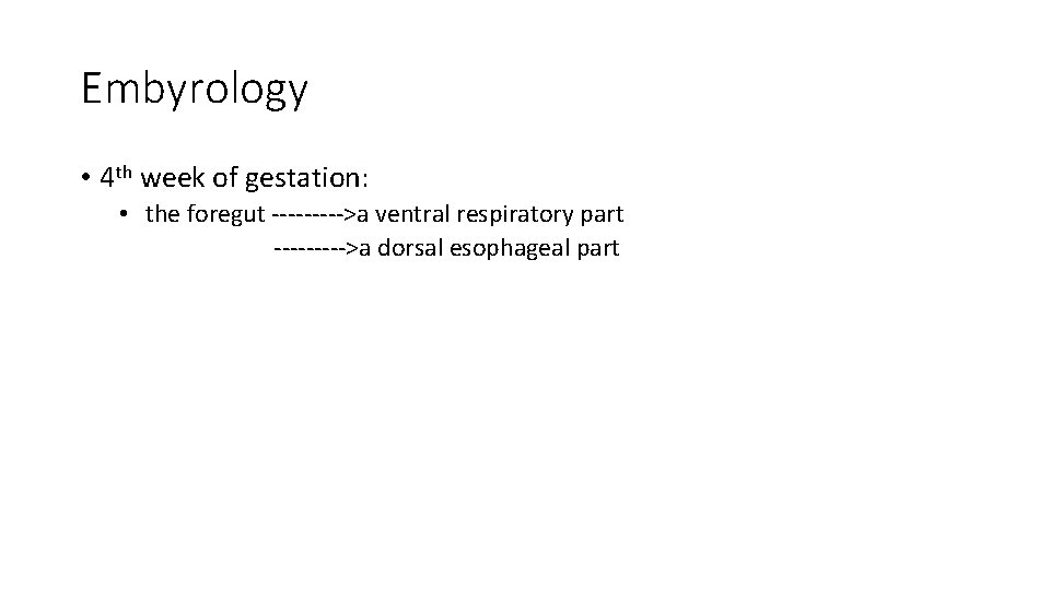 Embyrology • 4 th week of gestation: • the foregut ----->a ventral respiratory part