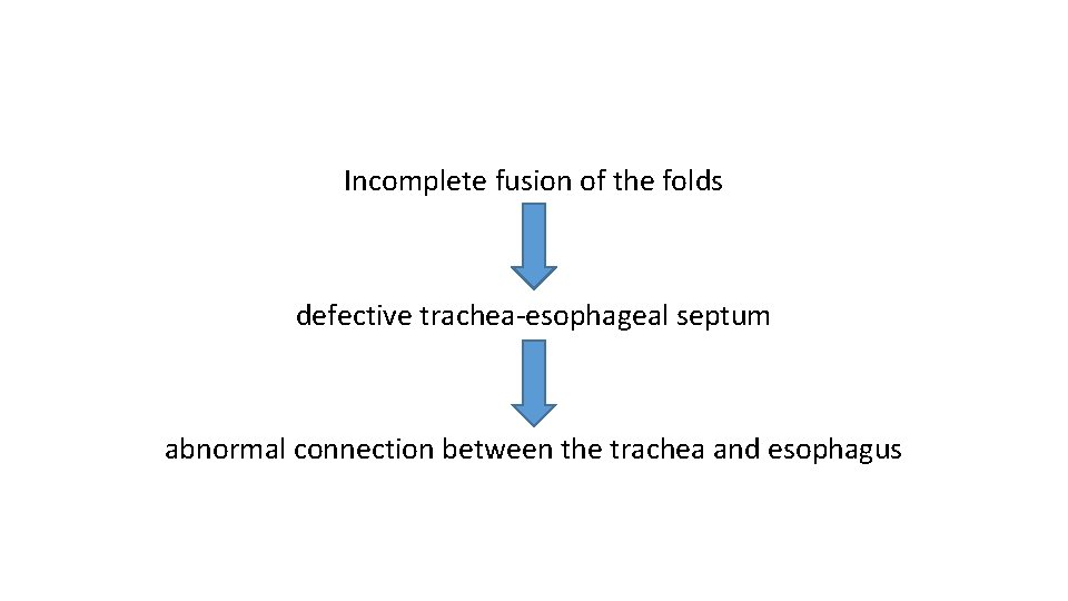 Incomplete fusion of the folds defective trachea-esophageal septum abnormal connection between the trachea and