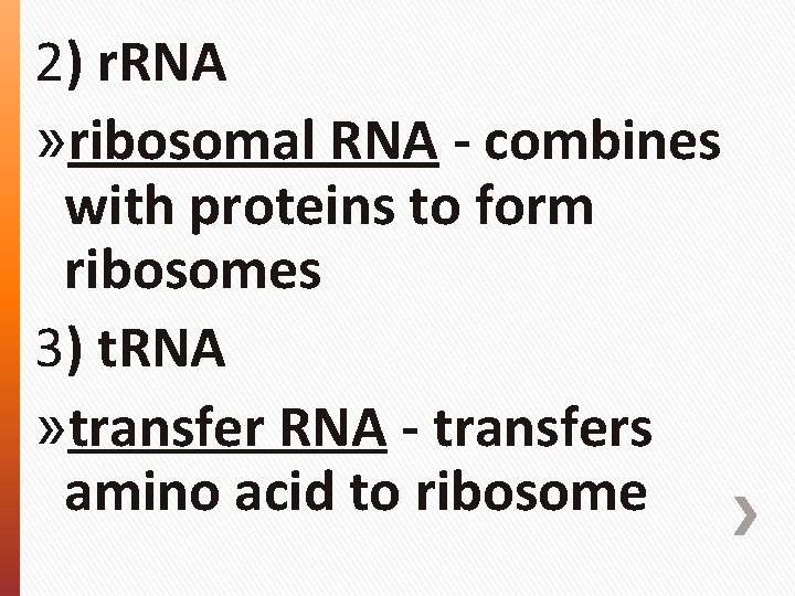 2) r. RNA » ribosomal RNA - combines with proteins to form ribosomes 3)