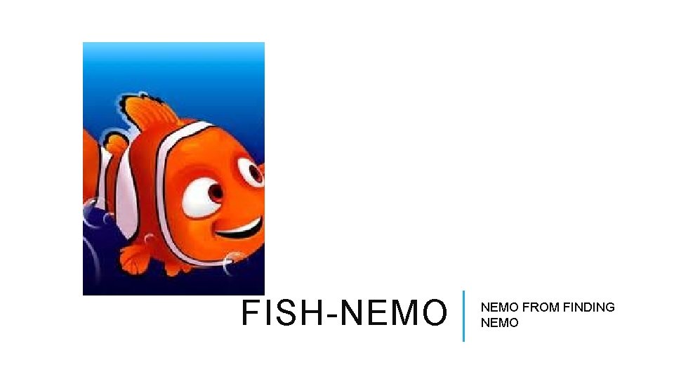 FISH-NEMO FROM FINDING NEMO 