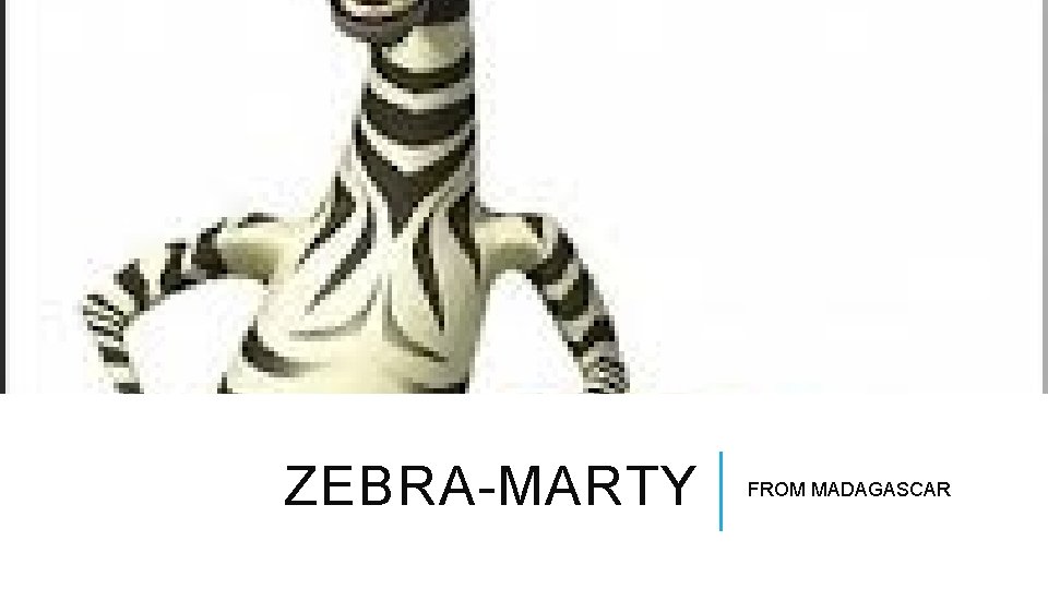 ZEBRA-MARTY FROM MADAGASCAR 