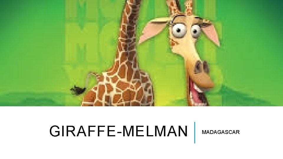 GIRAFFE-MELMAN MADAGASCAR 