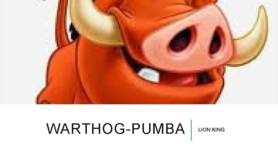 WARTHOG-PUMBA LION KING 