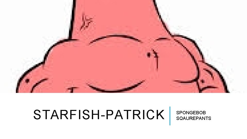 STARFISH-PATRICK SPONGEBOB SQAUREPANTS 