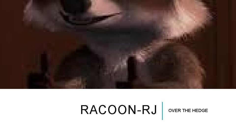 RACOON-RJ OVER THE HEDGE 