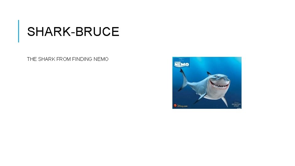 SHARK-BRUCE THE SHARK FROM FINDING NEMO 