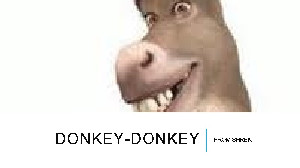 DONKEY-DONKEY FROM SHREK 