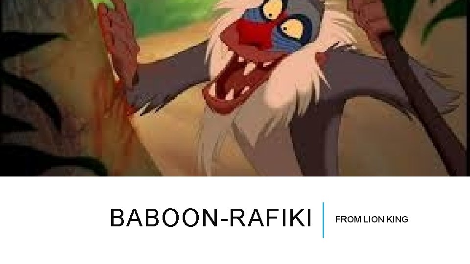 BABOON-RAFIKI FROM LION KING 