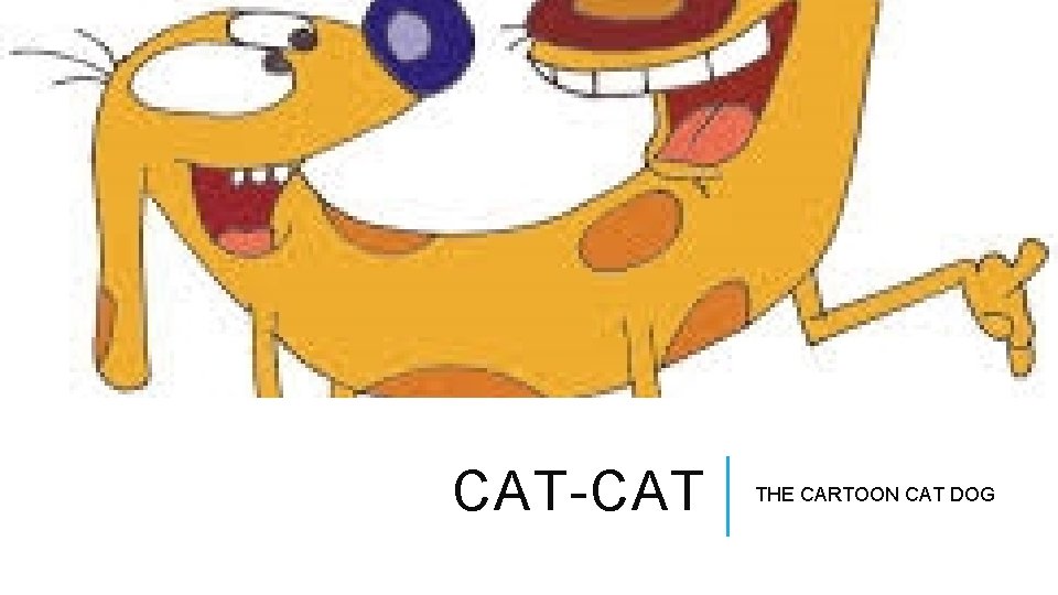 CAT-CAT THE CARTOON CAT DOG 