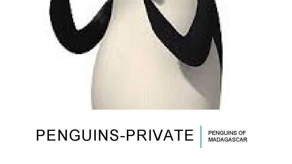 PENGUINS-PRIVATE PENGUINS OF MADAGASCAR 