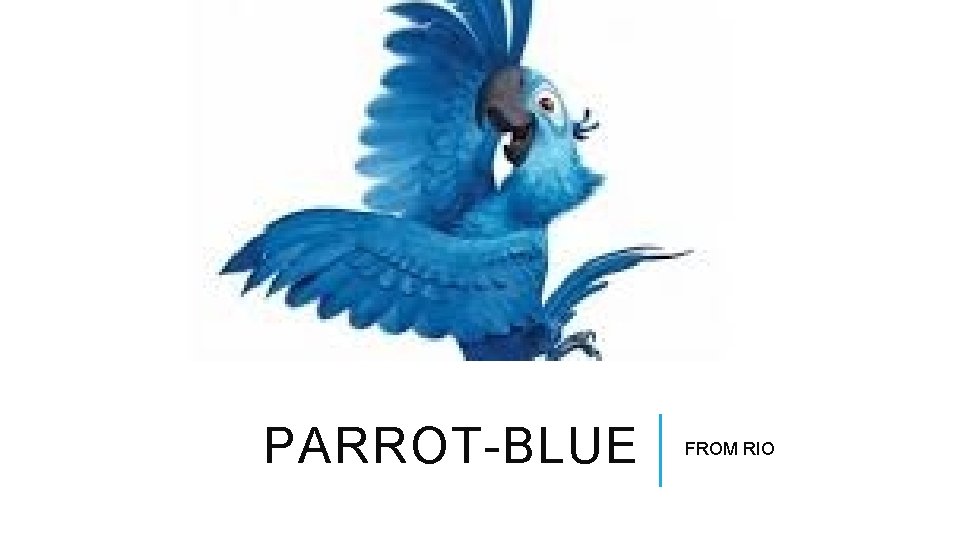 PARROT-BLUE FROM RIO 