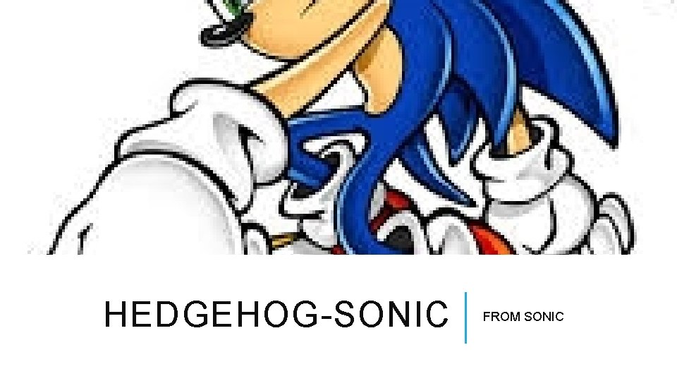 HEDGEHOG-SONIC FROM SONIC 