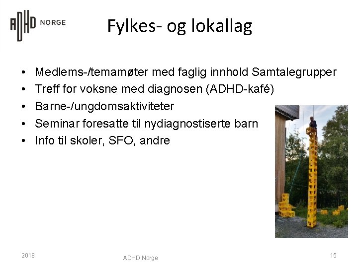 Fylkes- og lokallag • • • 2018 Medlems-/temamøter med faglig innhold Samtalegrupper Treff for